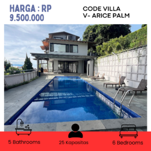 V- ARICE PALM PRIVATEPOOL