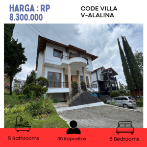 V- ALALINA PRIVATEPOOL